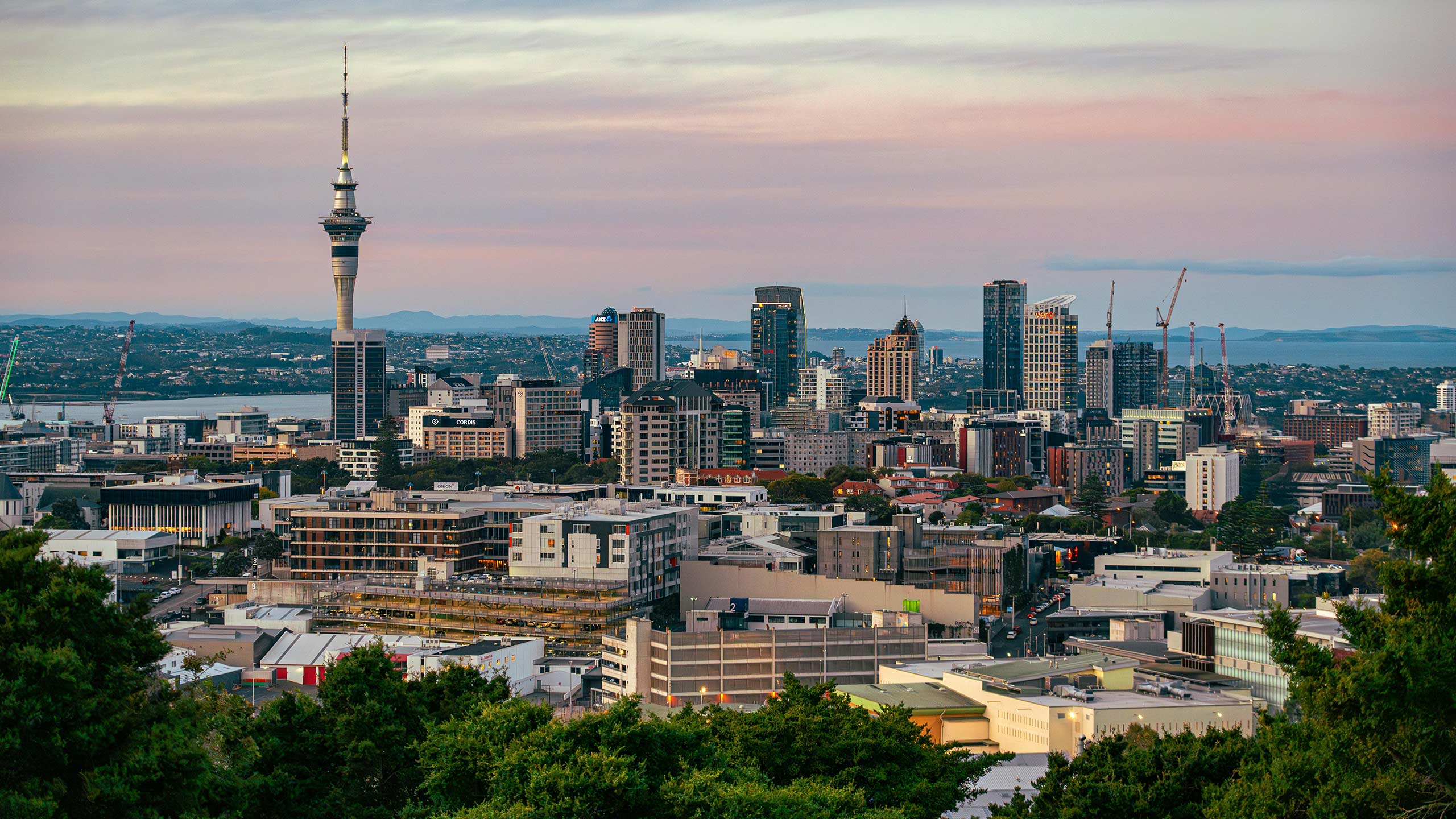 South-Auckland-electricians An image of Auckland City at dusk